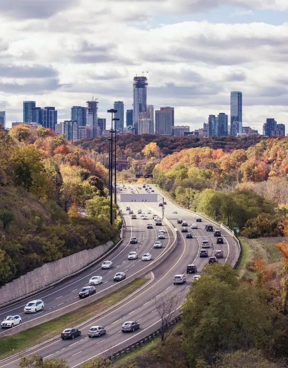 Autumn drive